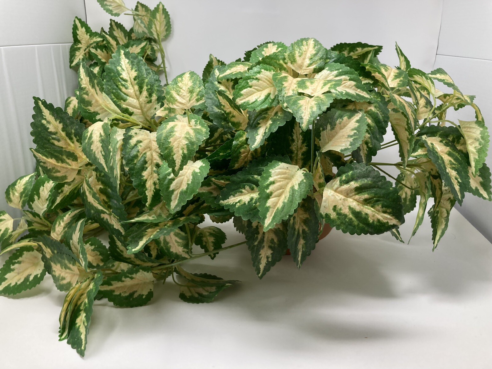Hanging Silk Plant Natural Looking Coleus (?) Moss Terracotta Pot Tropical 36″
