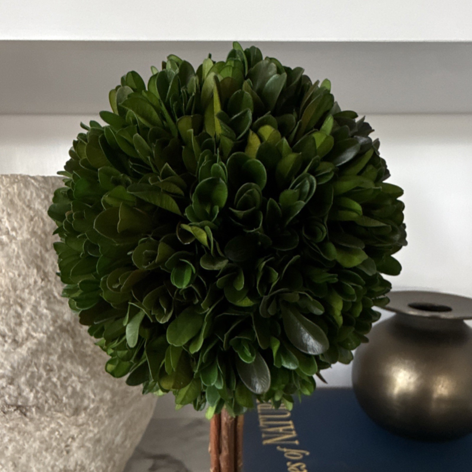 I’m Real Preserved Boxwood Ball Topiary in White Striped Pot, Green
