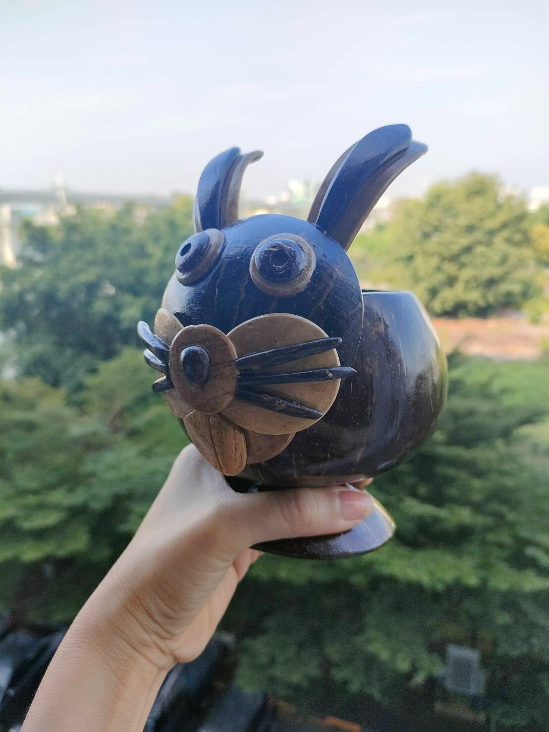 Coconut Shells Rabbits Planting Trees Artificial Things Home Decoration Nature