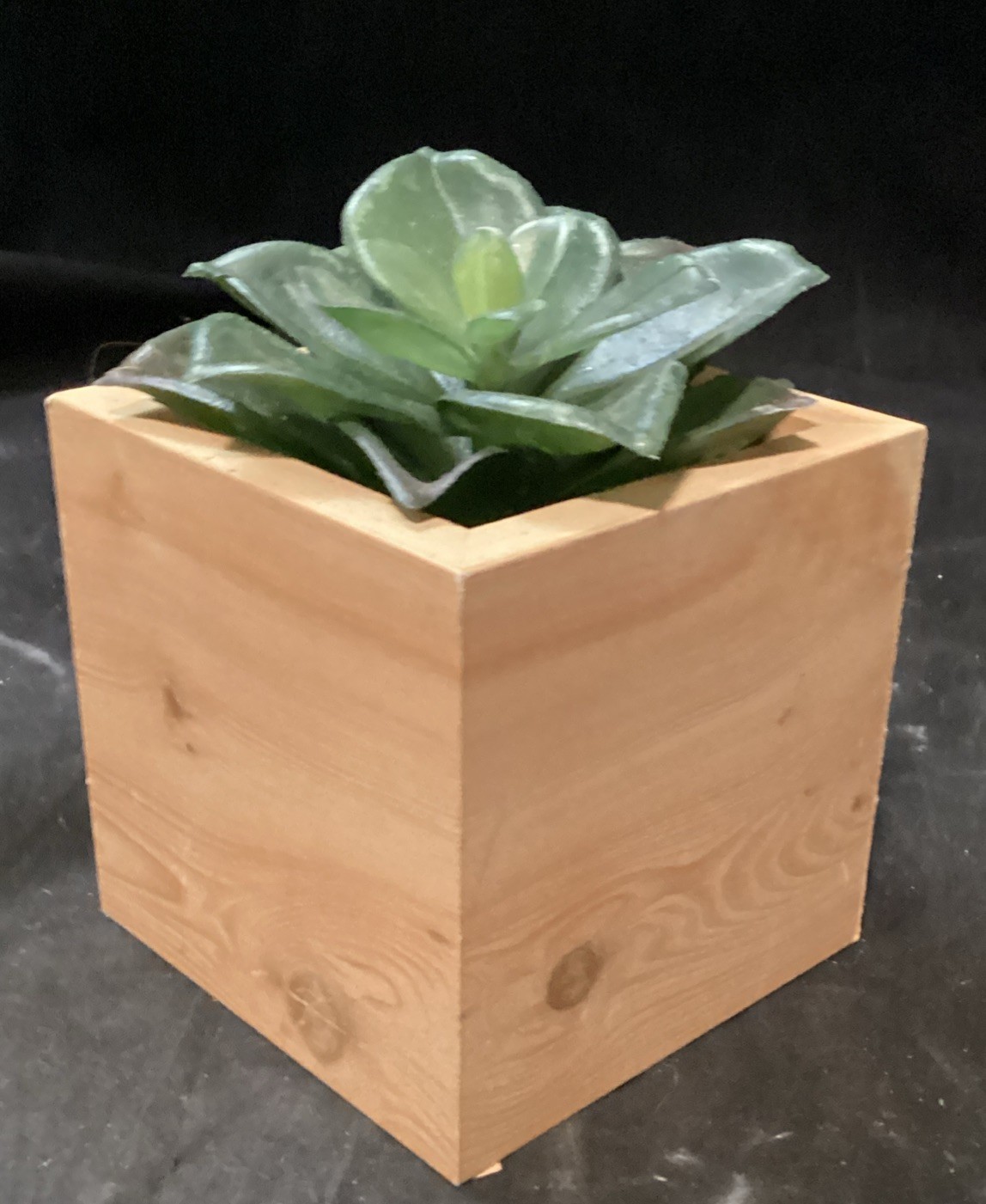 Decorative Fake Potted Succulents. New and Gently Used lot of 10 (F2)