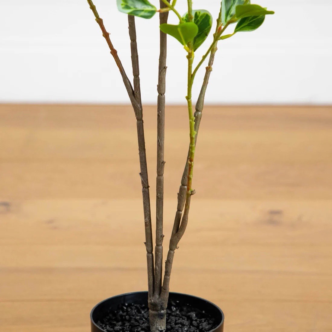 4′ Artificial Heart Shaped Ficus Leaf Tree