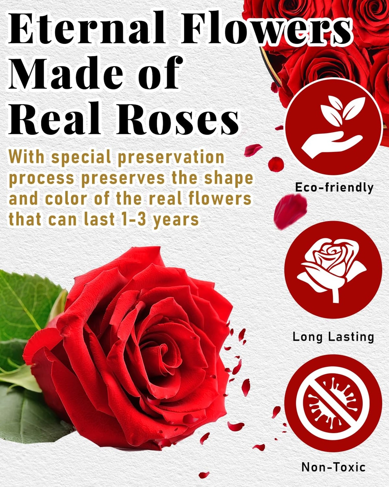 Changshunqi Forever Flowers Preserved Roses in a Box – 7 Preserved Flowers In…