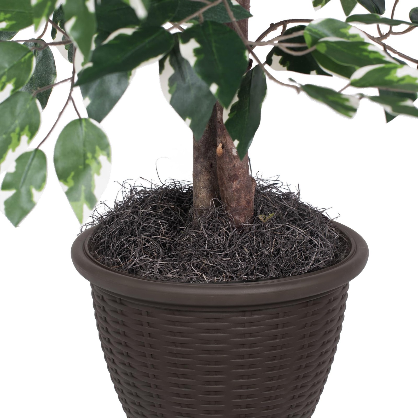 Pemberly Row 4′ Artificial Variegated Ficus Bush w/ Rattan Basket in Green/White