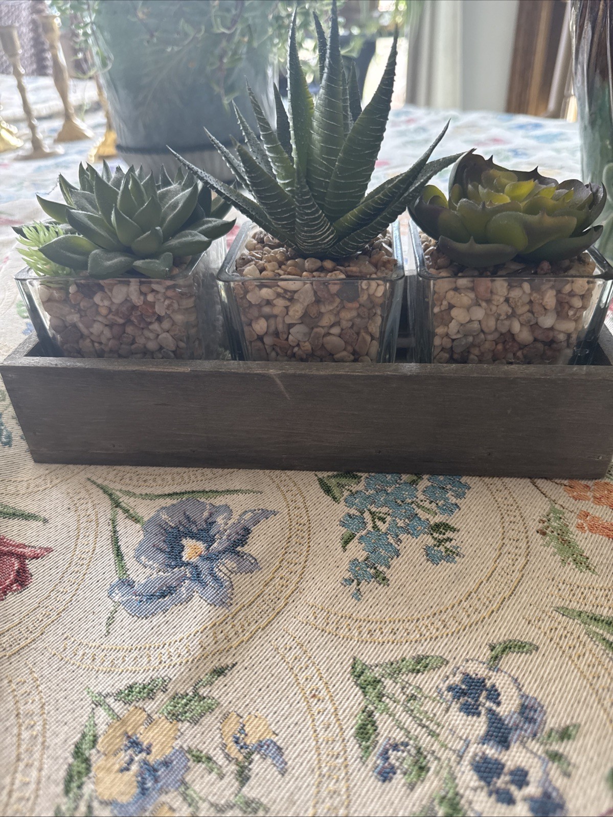 Artificial Succulents In Three Glass Containers Glued In Wooden Box