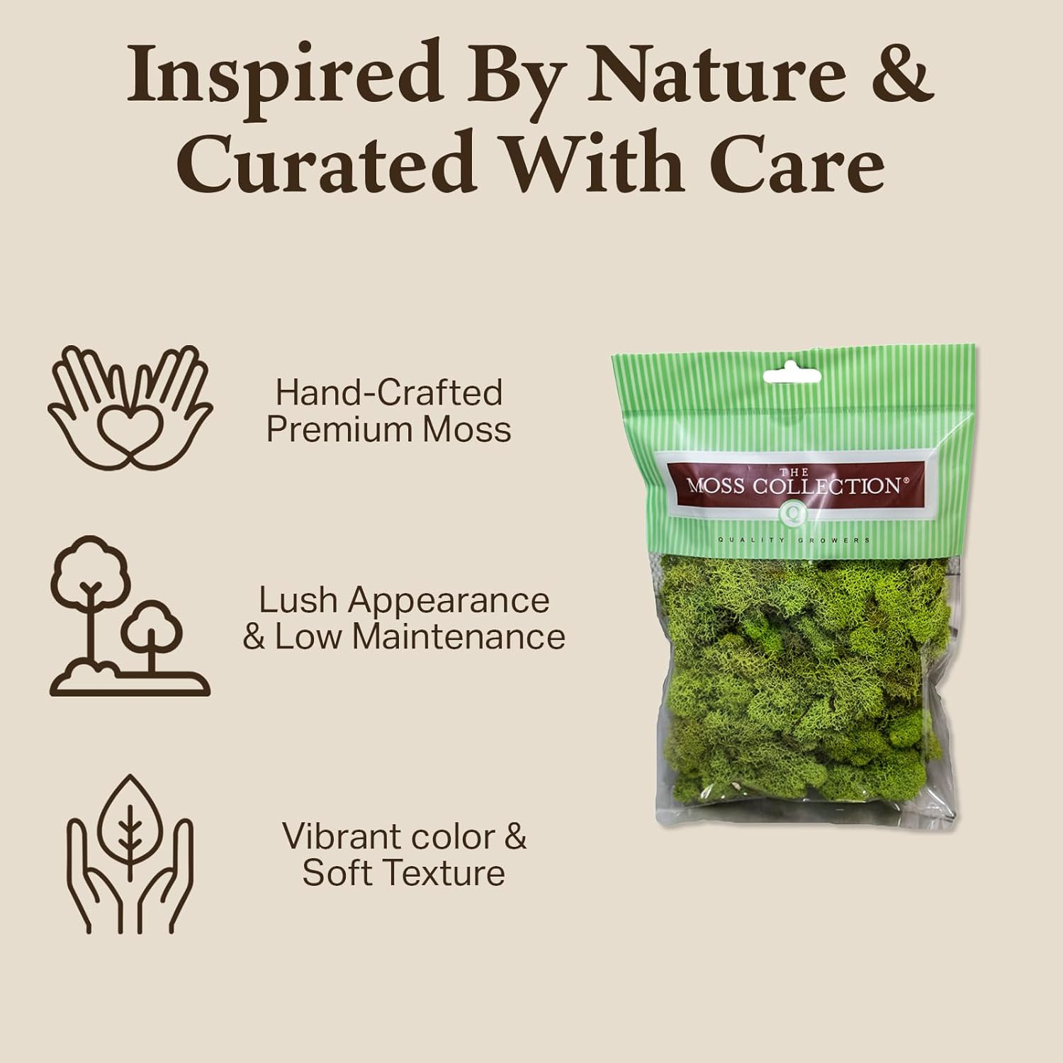 Preserved Reindeer Moss – Moss for Crafts, Home Decor, Art, Design & DIY Project