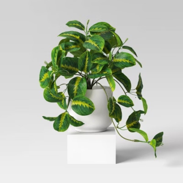 Trailing Prayer Artificial Plant – Room Essentials