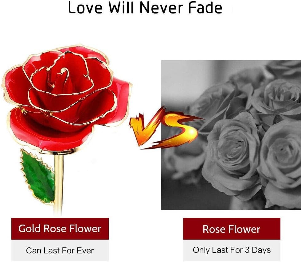 Valentines Day Gifts for Her Real Rose Dipped in 24K Gold Preserved Rose Flow…