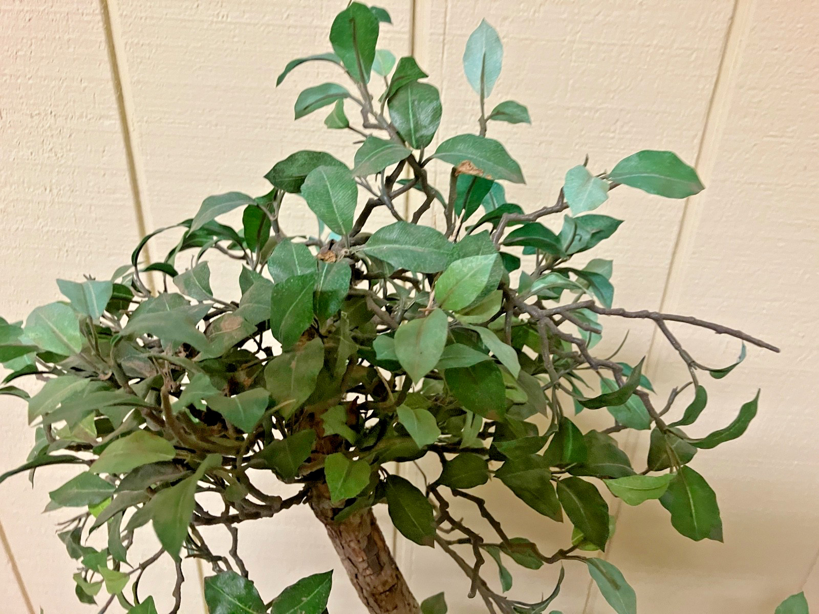 REALISTIC ARTIFICIAL BONSAI TREE PLANT W/GREEN CERAMIC POT – 31″ T -POT 14X10X4″