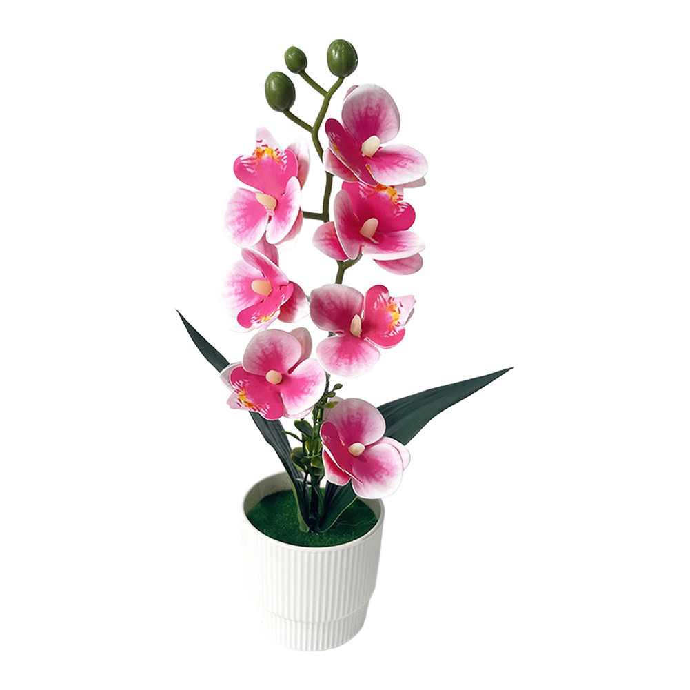 Potted Artificial Butterfly Orchid 12.2in/31cm White Dot Purple Pink White Red