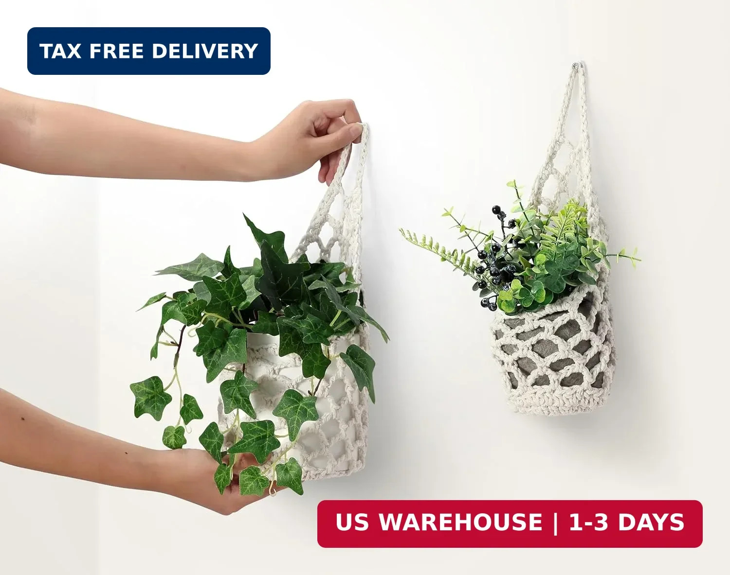 3 Packs Hanging Planters for Indoor Plants up to 4 in., Wall Plant Holder | Plan