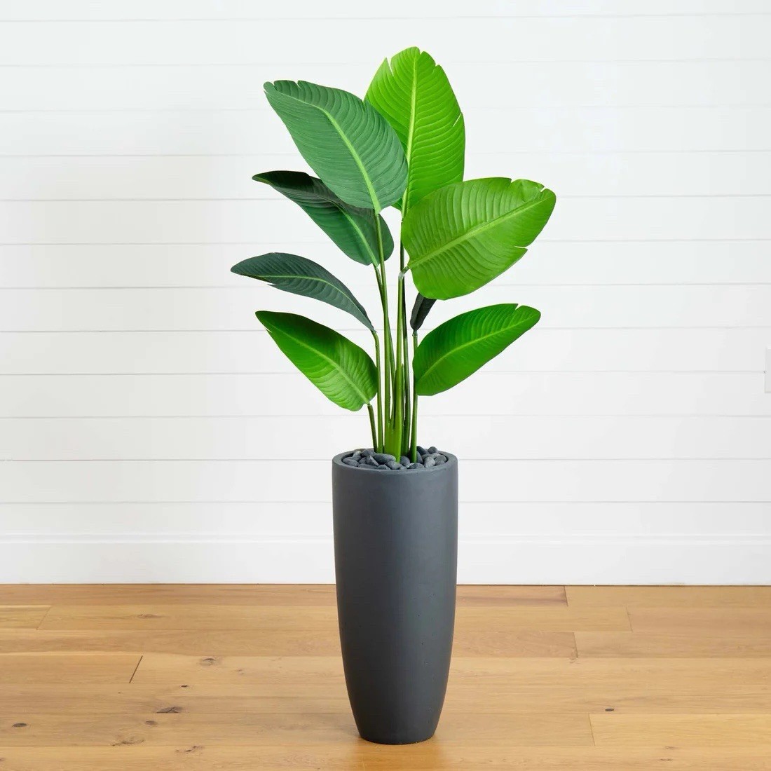 5’ Traveler’s Palm Artificial Tree in Gray Planter