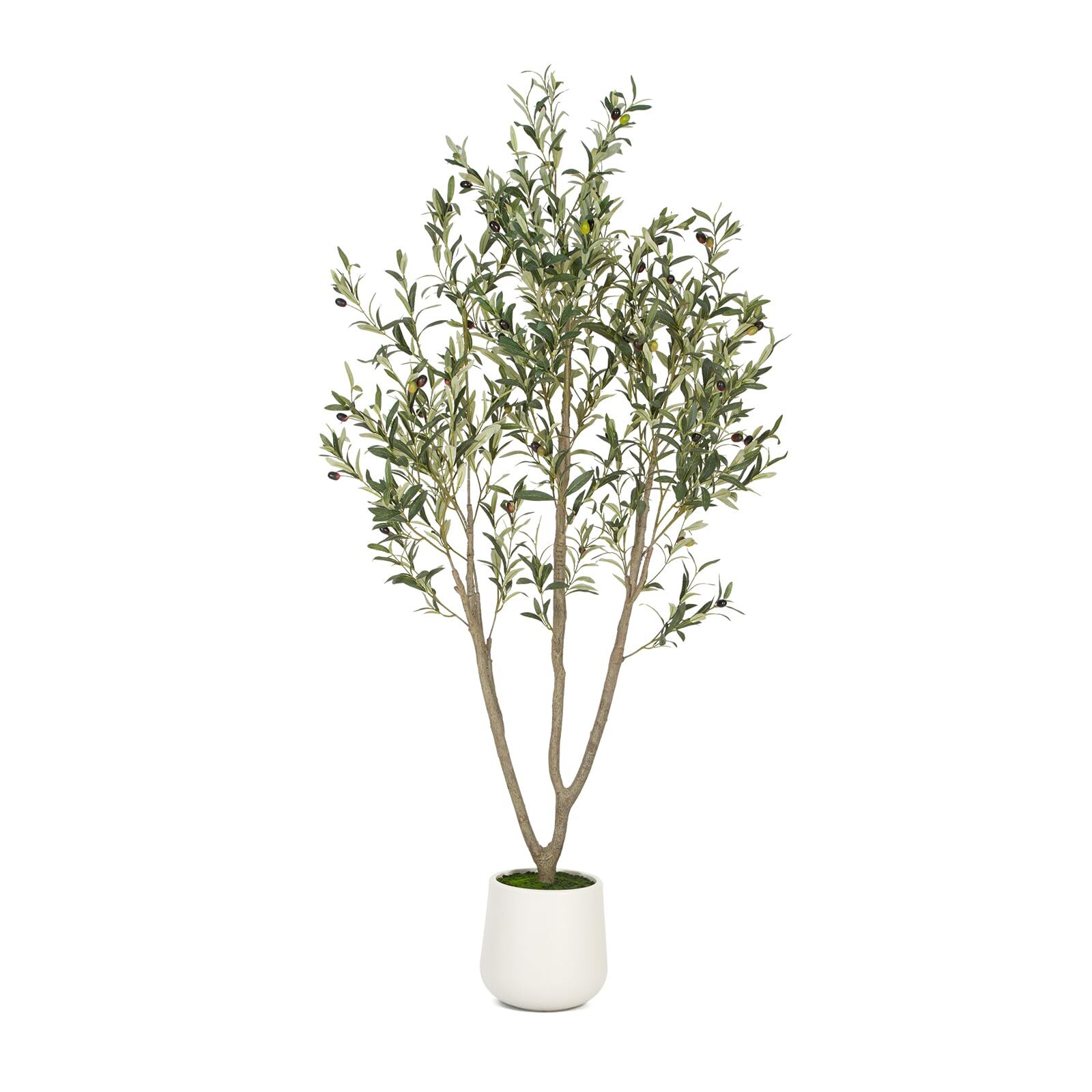 VIVATREES Olive Trees Artificial Indoor, 6FT Tall Faux Olive Tree with White Tal