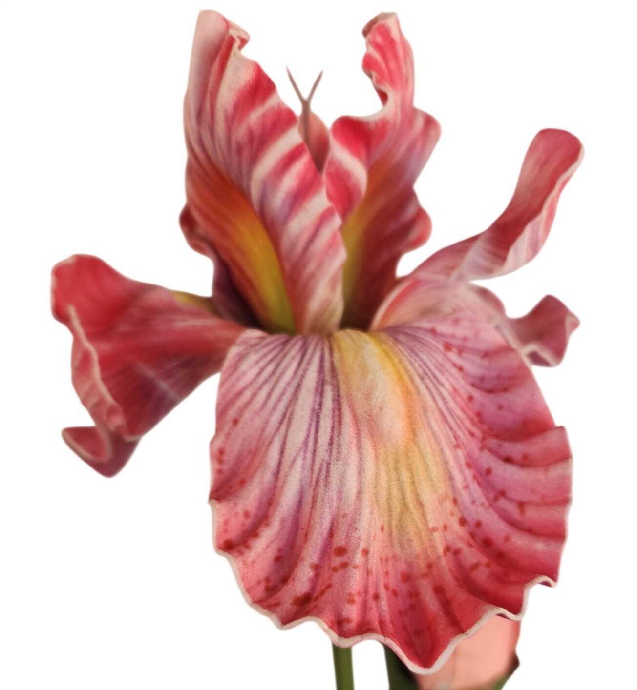 Artificial Iris Flower 33 Inch Tall Pink Faux Iris Stem Hand Painted Look Floral