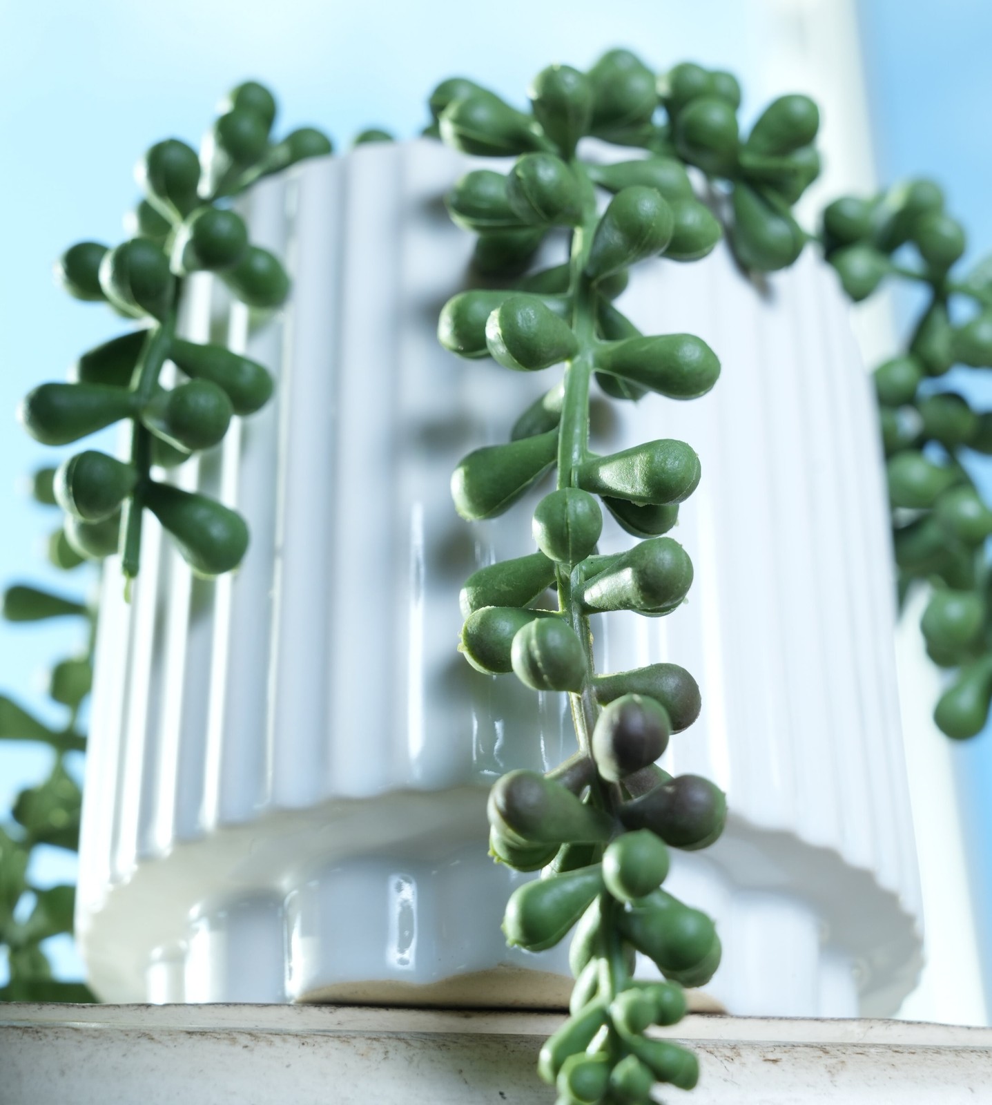 5.38” UV Protected Artificial String of Pearls in White Ceramic Pot Tabletops