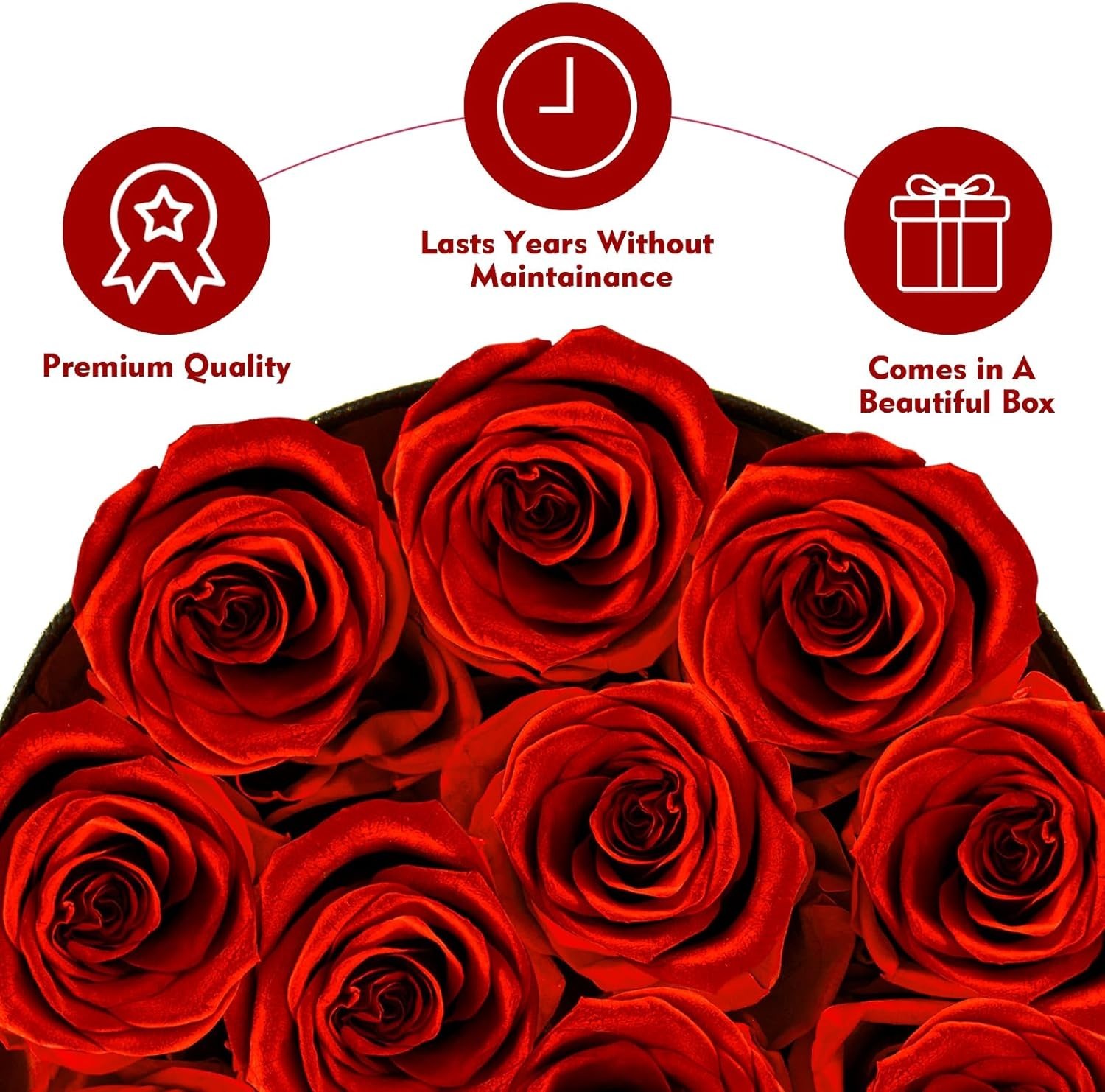 Lovely Preserved Roses in Box Perfect for Anniversary and Birthday Gifts