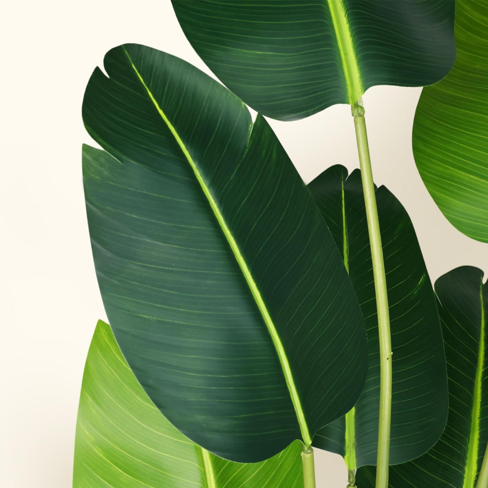 Artificial Bird of Paradise Plant,6Ft Faux Banana Tree 2Pack