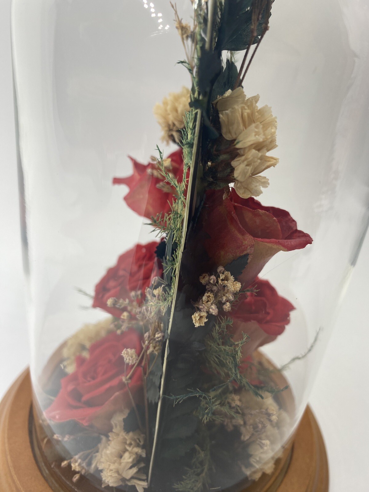 Vintage Dried Red Roses Flower Arrangement Preserved in 7.5” Glass Dome