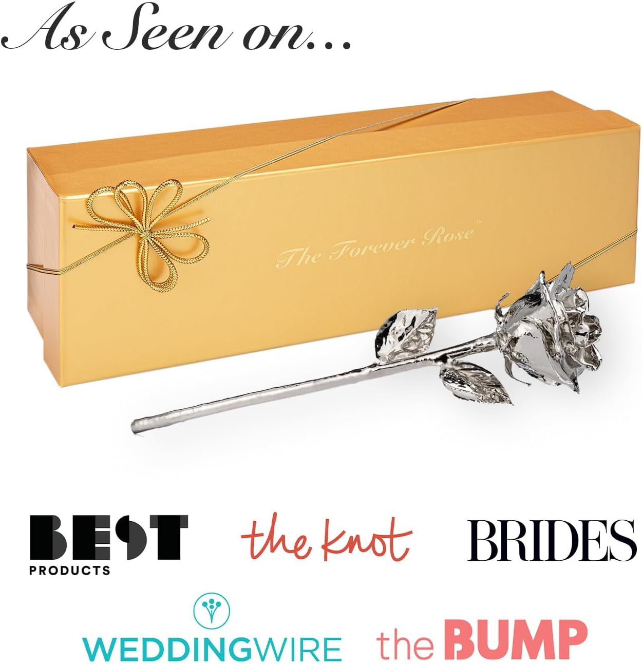 Everlasting Silver Dipped Rose – Unique Gift for Anniversaries & Valentine’s Day