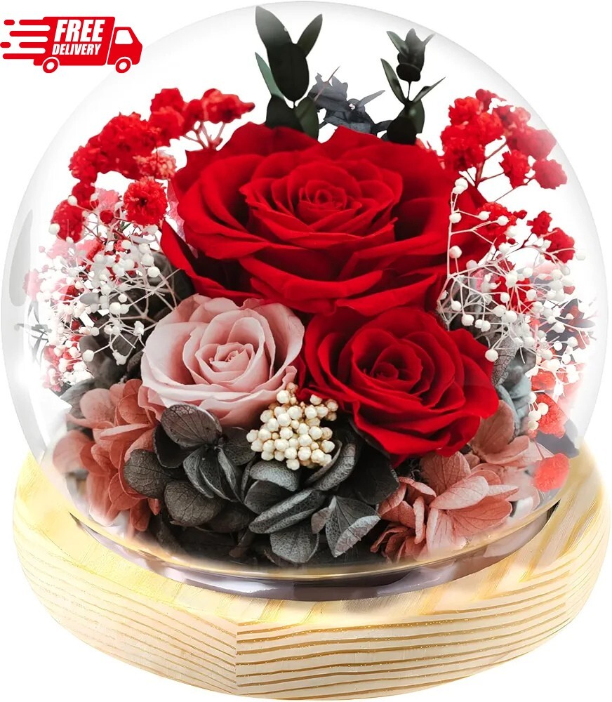 Valentine’s Day Gifts for Her Preserved Real Flowers Eternal Rose in Glass Dome