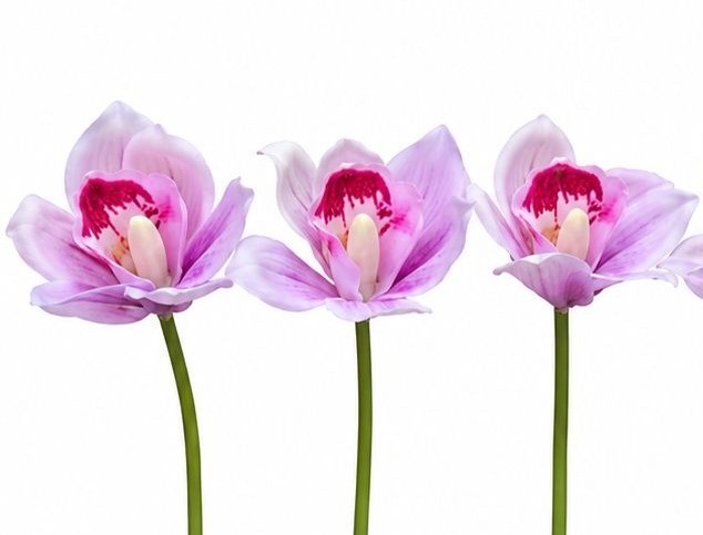 Pink Purple Real Touch Cymbidium Orchids, Set of 5 Artificial Flower Stems, 15 I