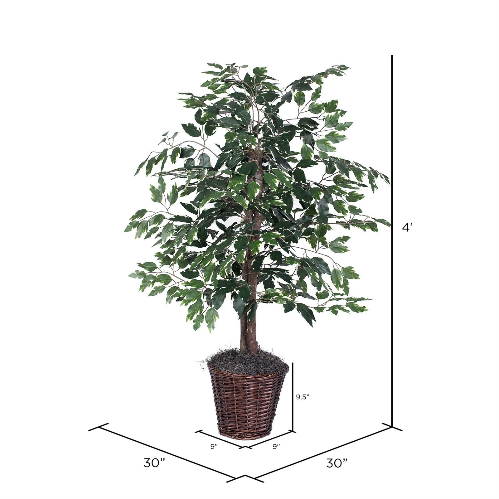 Pemberly Row 4′ Artificial Variegated Ficus Bush w/ Rattan Basket in Green/White
