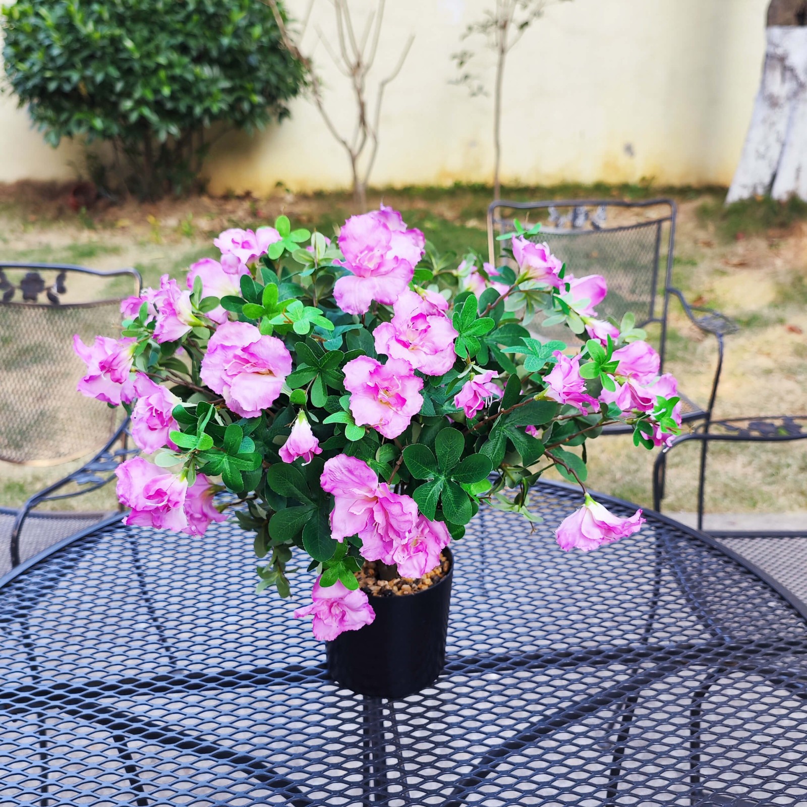 48 Large Blooms Artificial Potted Azalea Flowers ,UV Resistant , Realistic Decor