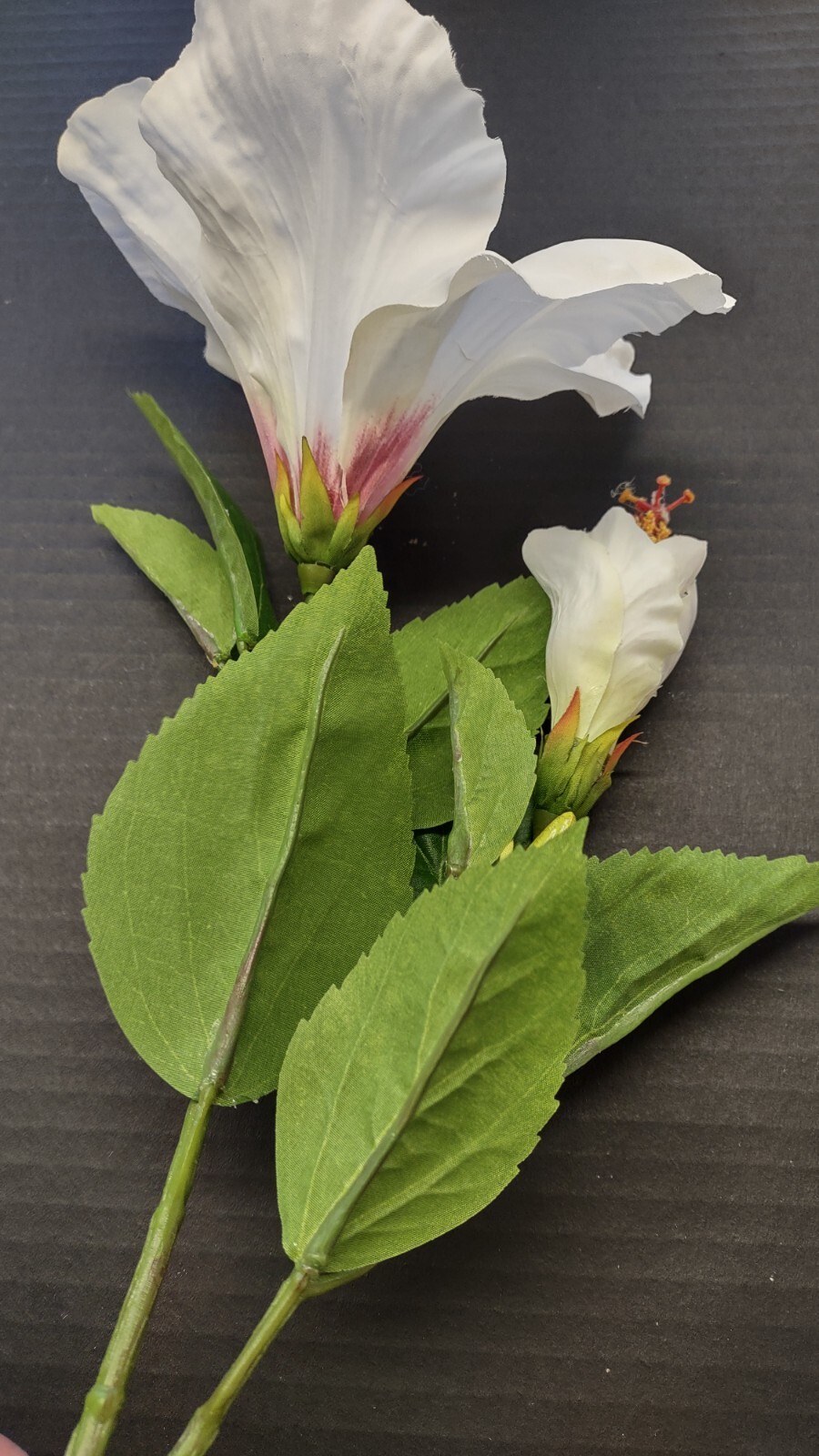 Large Cream Hibiscus stem silk flowers