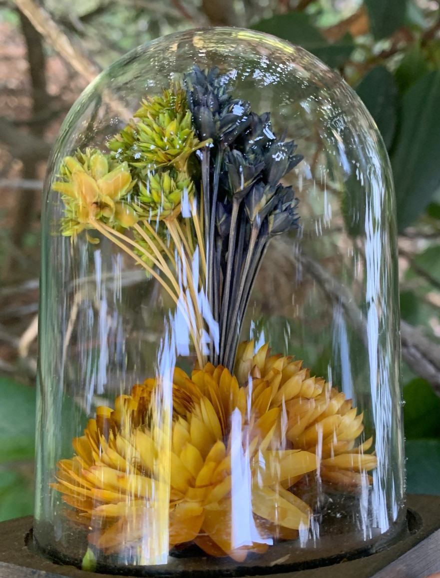 VTG Leonard Creations California Dried Flower Glass Dome on Wood Base w/ Sticker