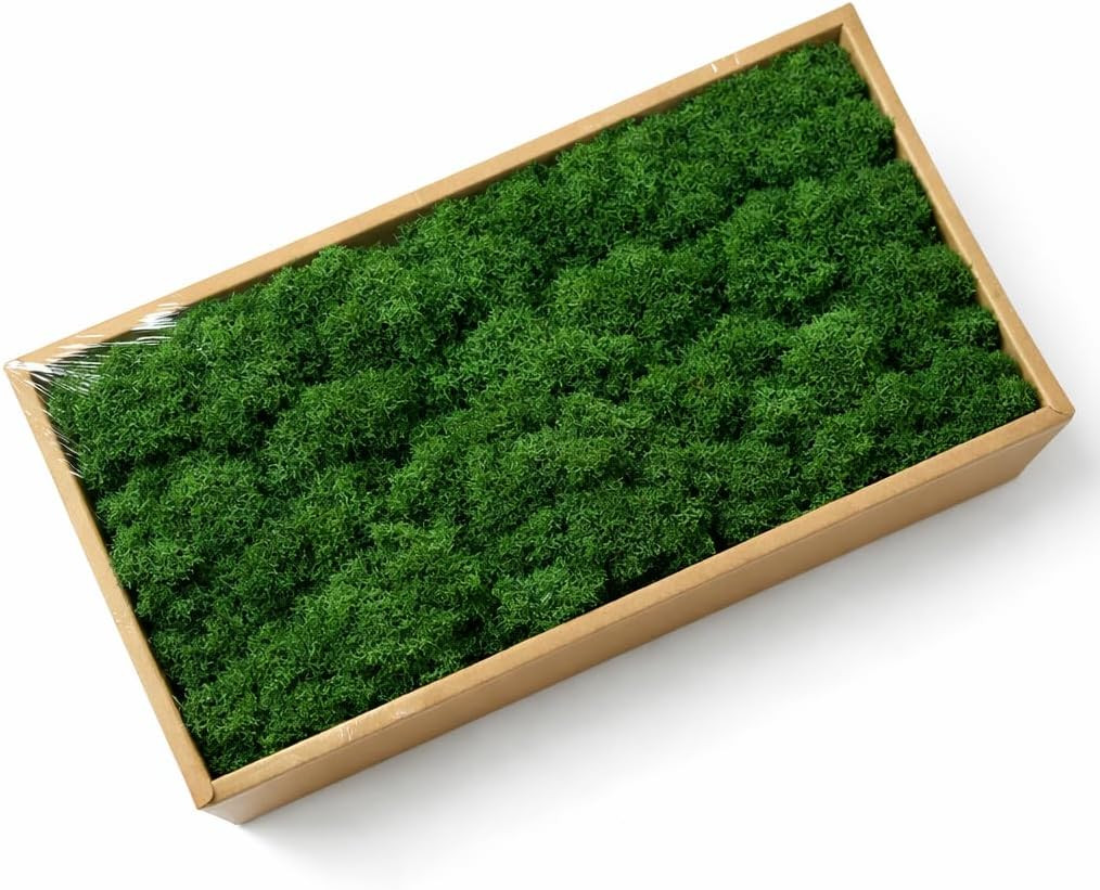 Preserved Reindeer Moss, 17.64Oz Natural Decorative for Home Decor, DIY Crafts,