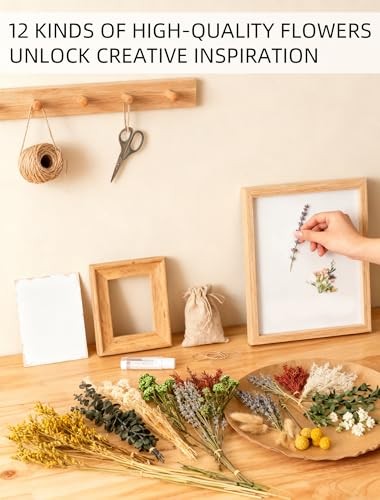 12 Kind Dried Flowers Set Natural Floral Bouquet for DIY Crafts Wedding Home Dec