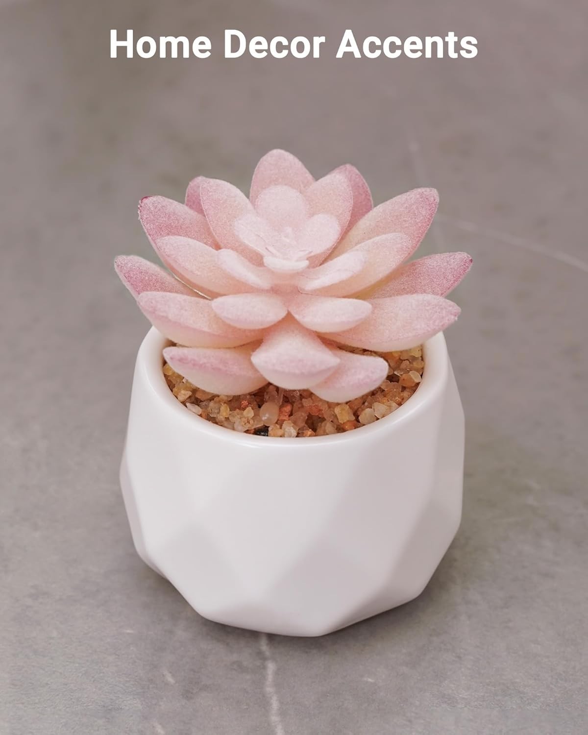 Low-Maintenance Rose Pink Succulents in Chic Pot – Perfect for Busy Lifestyles