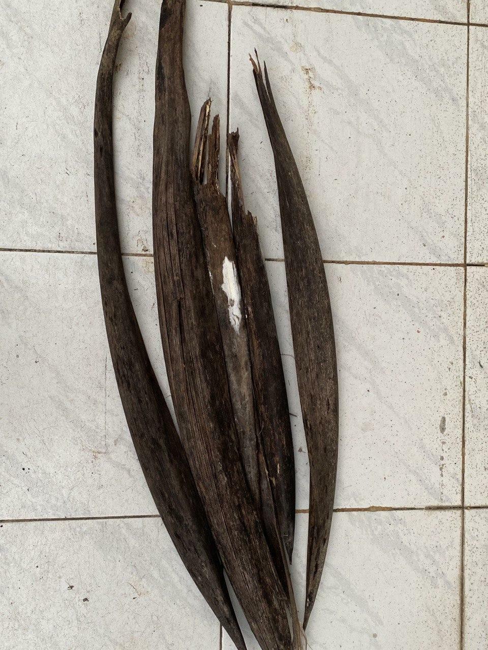 Coconut Tree Dried Spathe Diy Home Deco’s 100 Pure Organic Craft Item