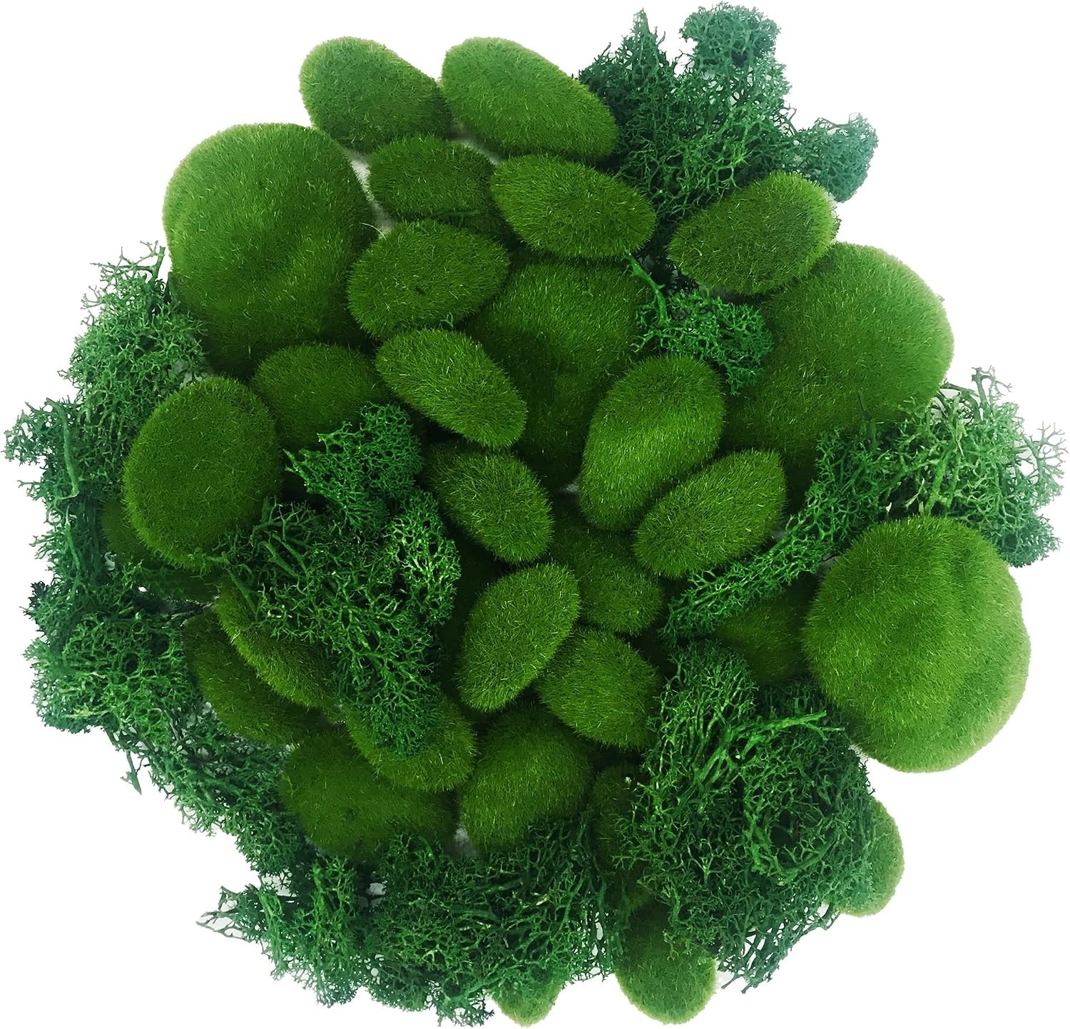 Decorative Artificial Moss Balls Set – 30 PCS with 30g Preserved Green Foam
