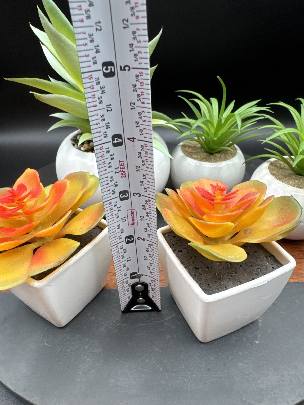 Faux Succulent Plant Set Desk – Realistic Coastal Western Scandi Boho Lot Of 5
