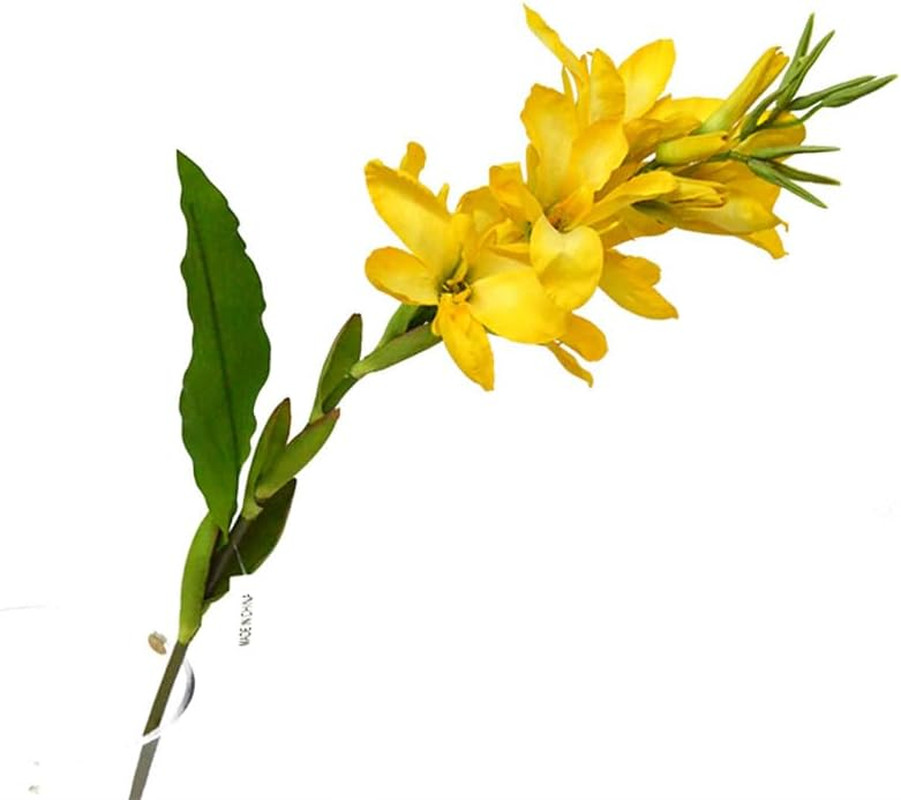 Yellow Canna Lily Silk Flowers, 42.5″ – 2-Pack for Home & Commercial Decor