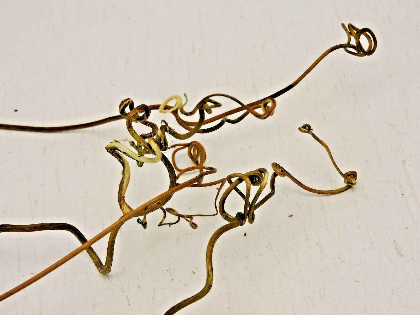 100 Grapevine Stick w/Tendrils Skinny Stem Flora Decor Craft 1/16~3/16″D 3~4″L