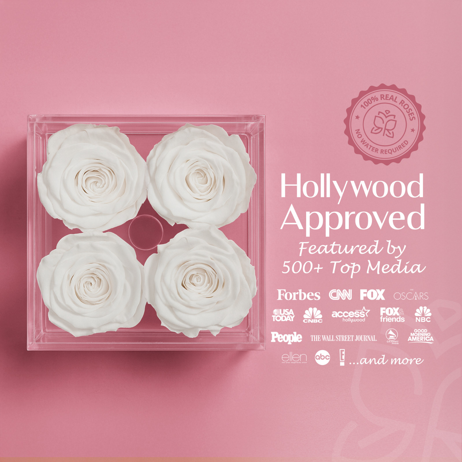 Speaking Roses Preserved Roses in Luxara Cua Display | “Happy New Year” Message