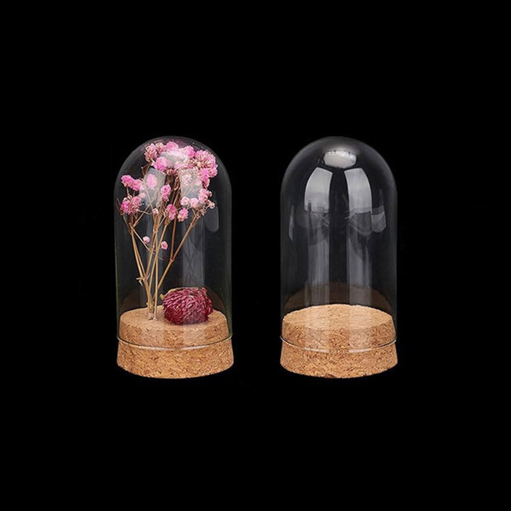 4pcs Mini Glass Dome Cloche Cover Decorative Clear Display Bell Jar
