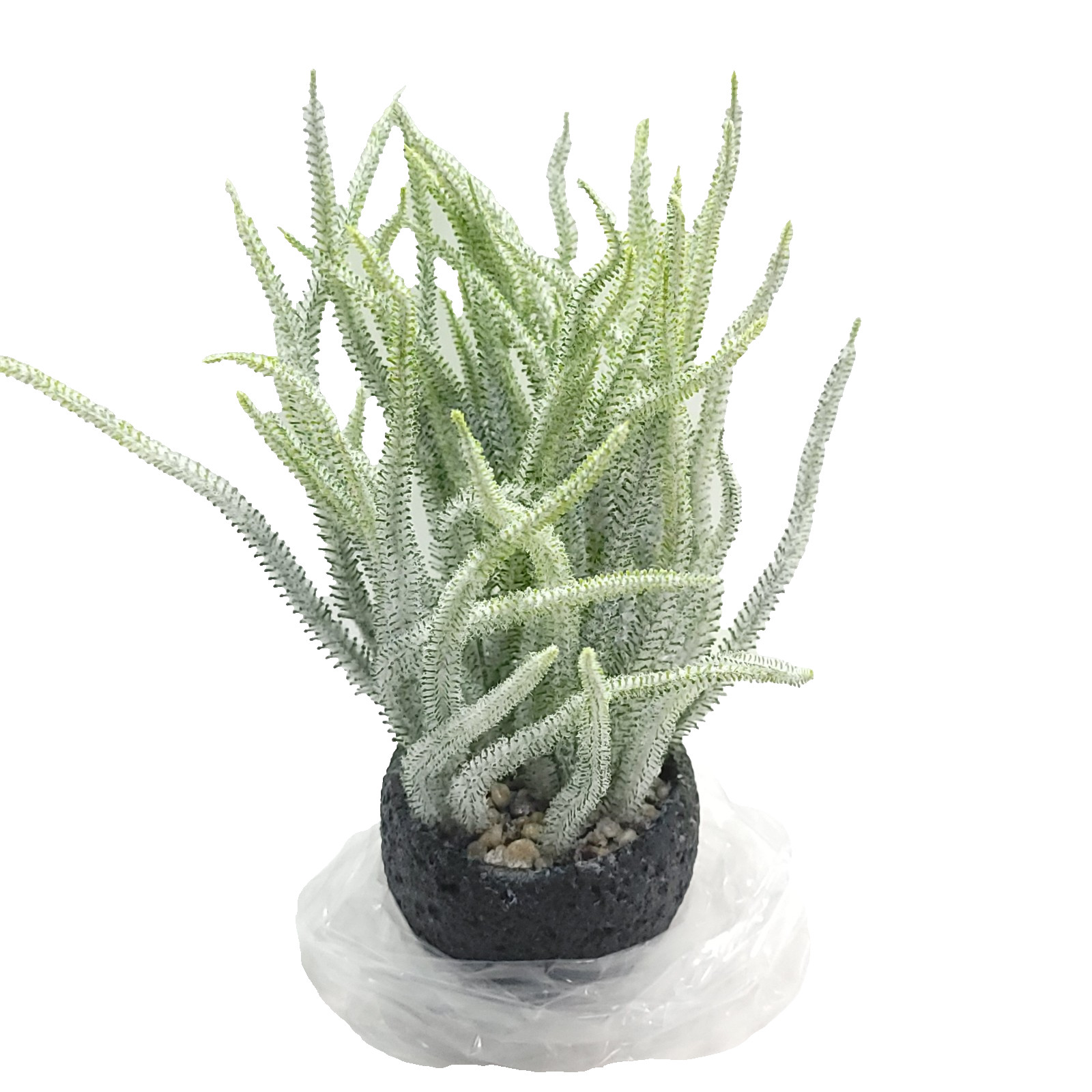 Giftale Faux Frosted Succulent Potted Plant with Polished River Rocks 12″
