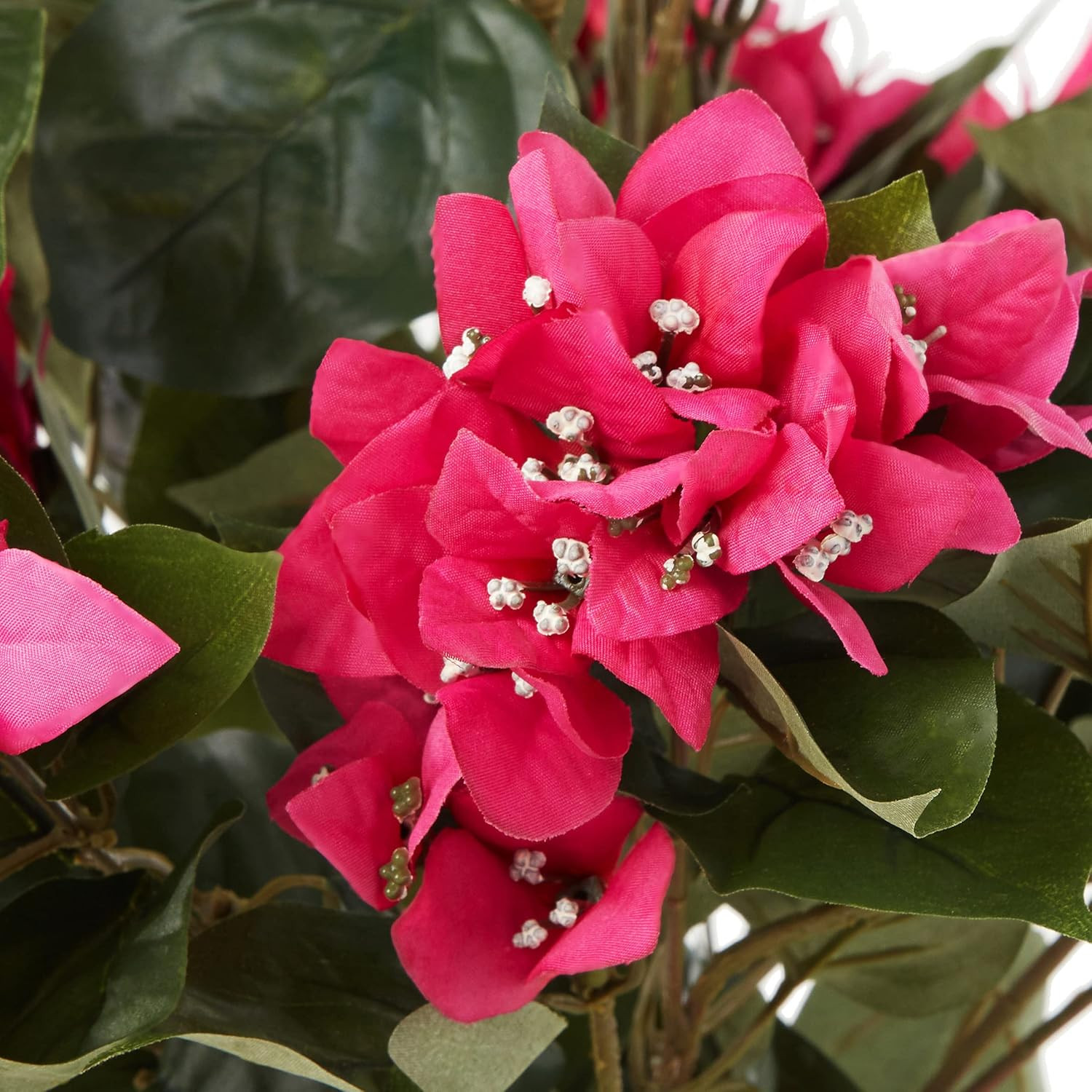34″ Bougainvillea Topiary in Stylish Wood Box – Perfect Home Decor!