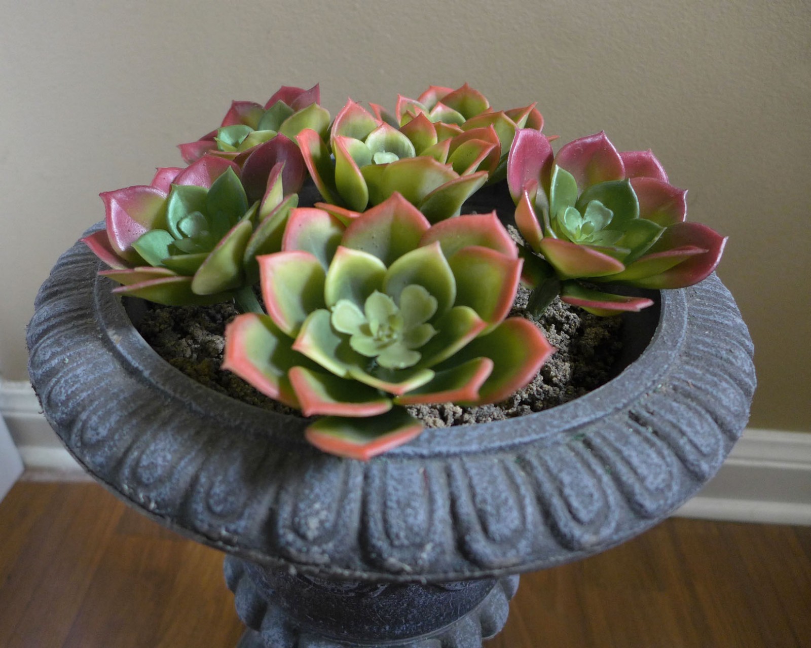 Set of 6 Small Snow Lotus Artificial Plastic Desert Succulents Grass(2 colors)