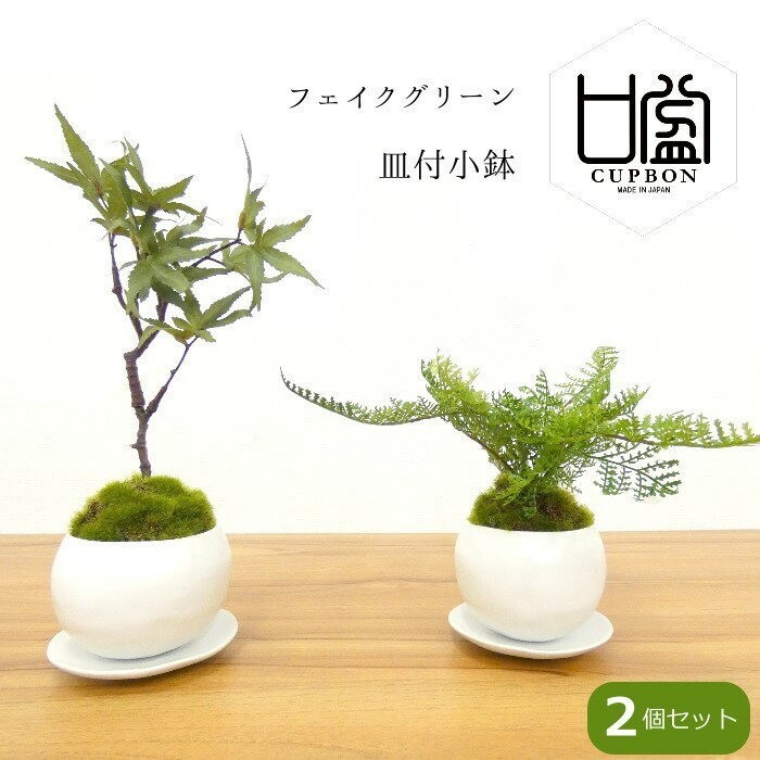 Cup Bonsai Set Momiji & Fern Faux Plant 2pcs Made in Japan Mini Zen Decor