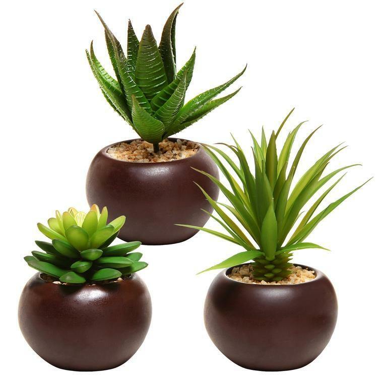 Decorative Potted Artificial Mini Succulent Plants in Brown Planter, Set of 3