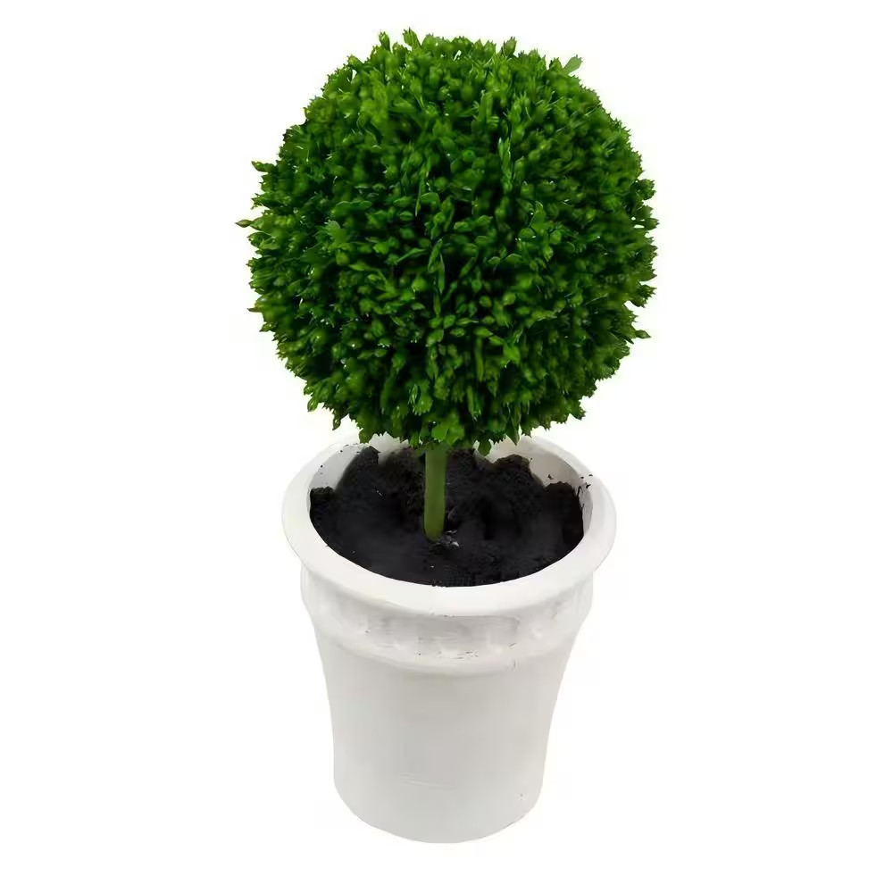 3 In. Mini Faux Topiaries in Cream Pot (3-Pack)
