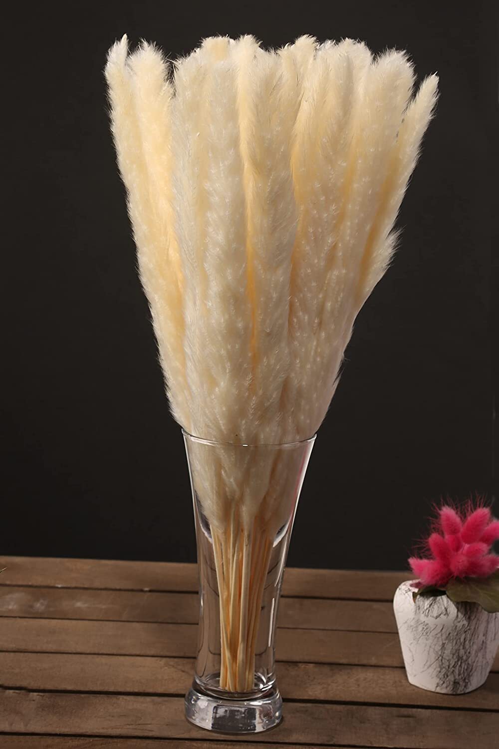 Luxury Box Protected Natural Pampas Grass Plant 30 Pieces 17” Dried Cake Decor