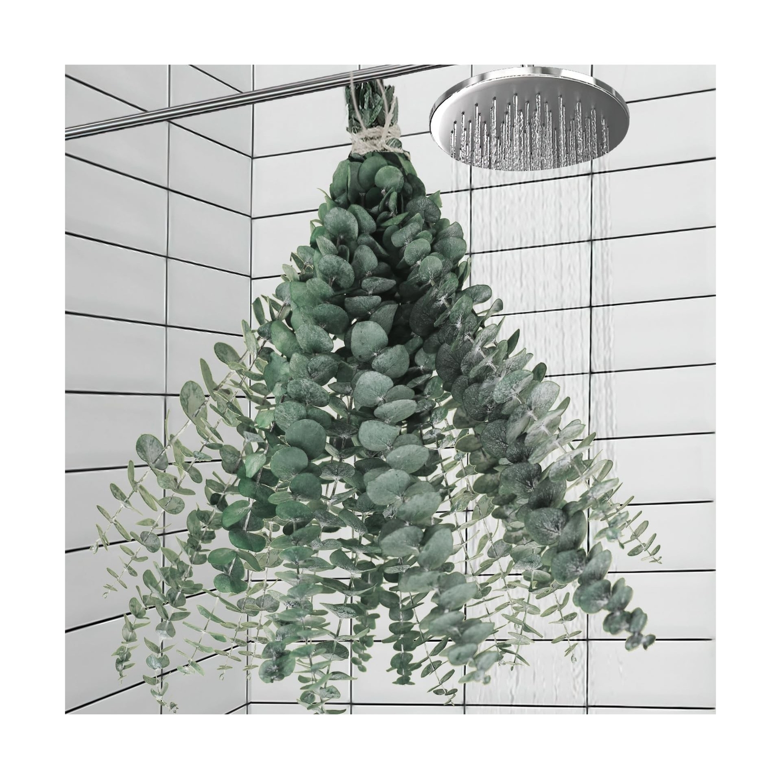 11 PCS Real Dried Eucalyptus for Shower Hanging Decor- 17” Large Eucalyptus …