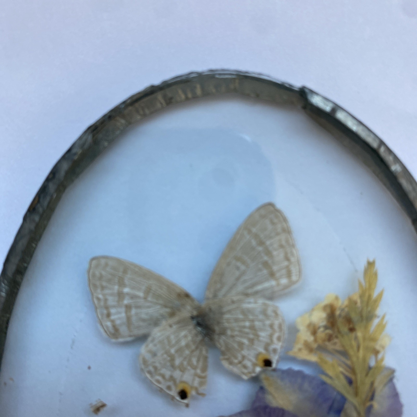 Vintage Pressed In Glass Butterfly & Flowers Pewter Frame Plaque Or Suncatcher