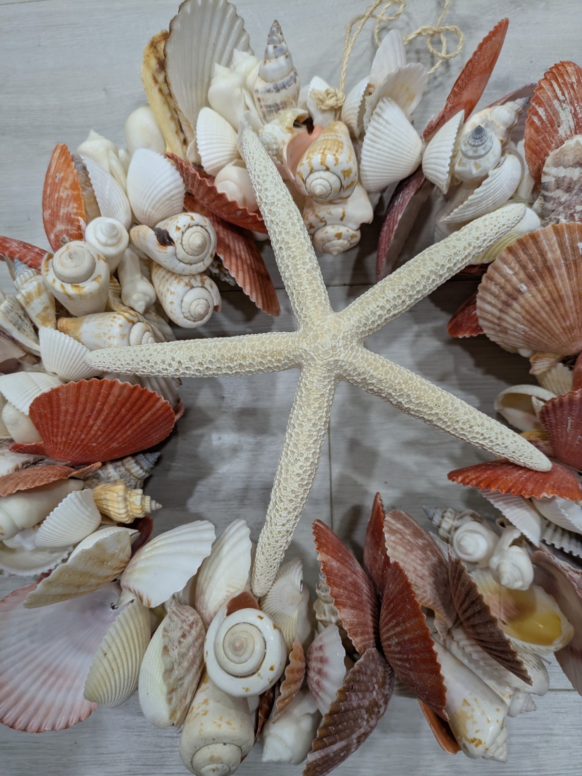 Seashell Door Wreath Beach Cottage Nautical Ocean Coastal Heavy 12″ w Starfish