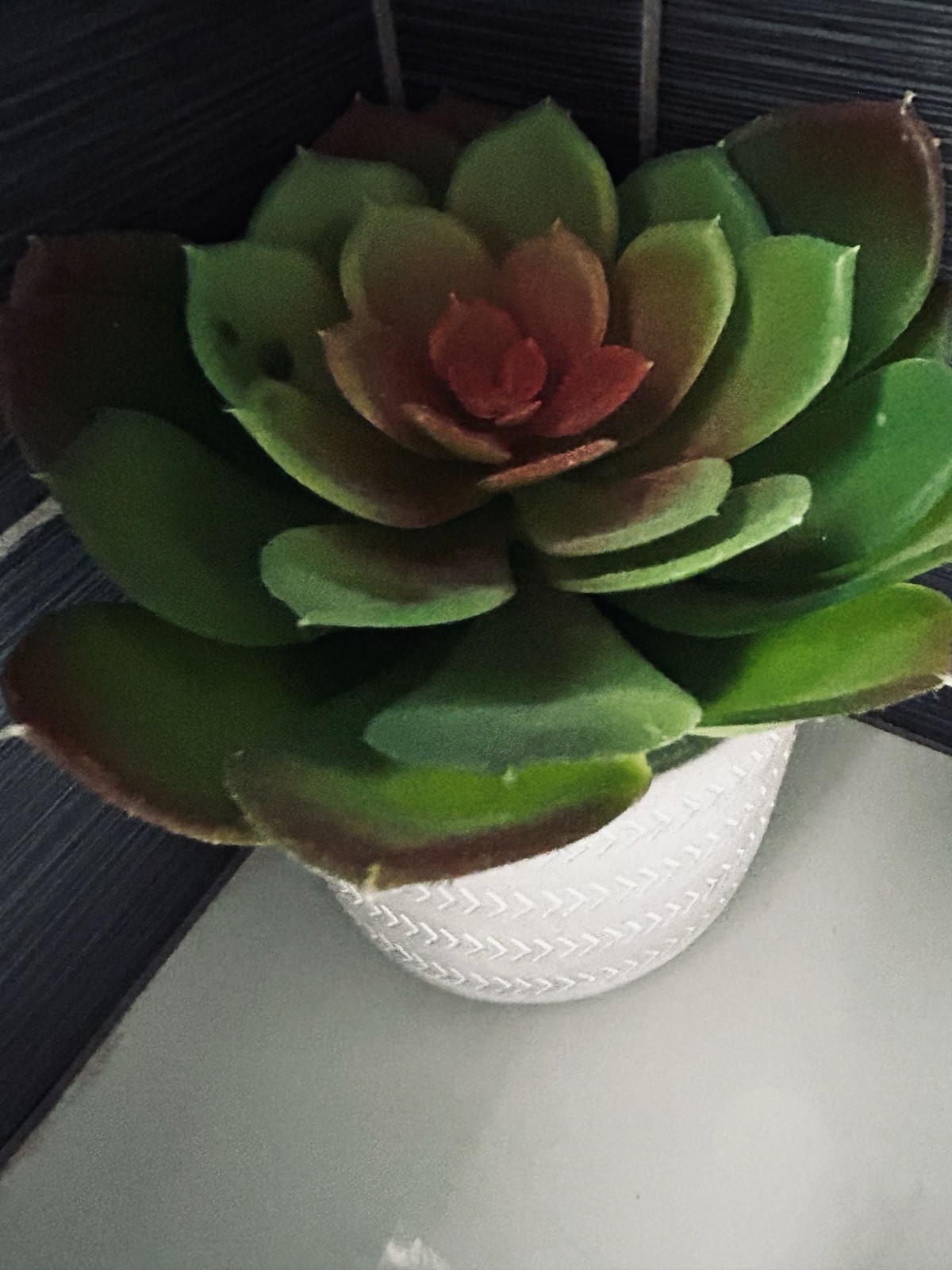Artificial Green and Red Echeveria Succulent in Chevron Ceramic Pot