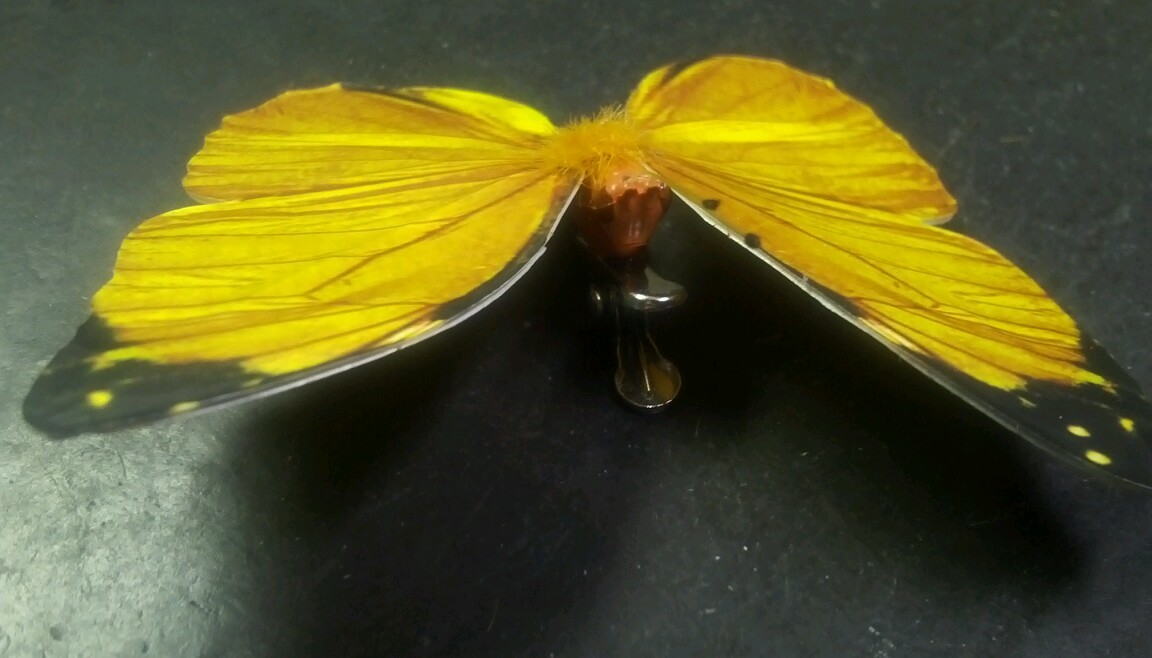 6 BUTTERFLIES 3D PAPER YELLOW REALISTIC CLIP ON DECORATIVE FLORAL HOME DECOR